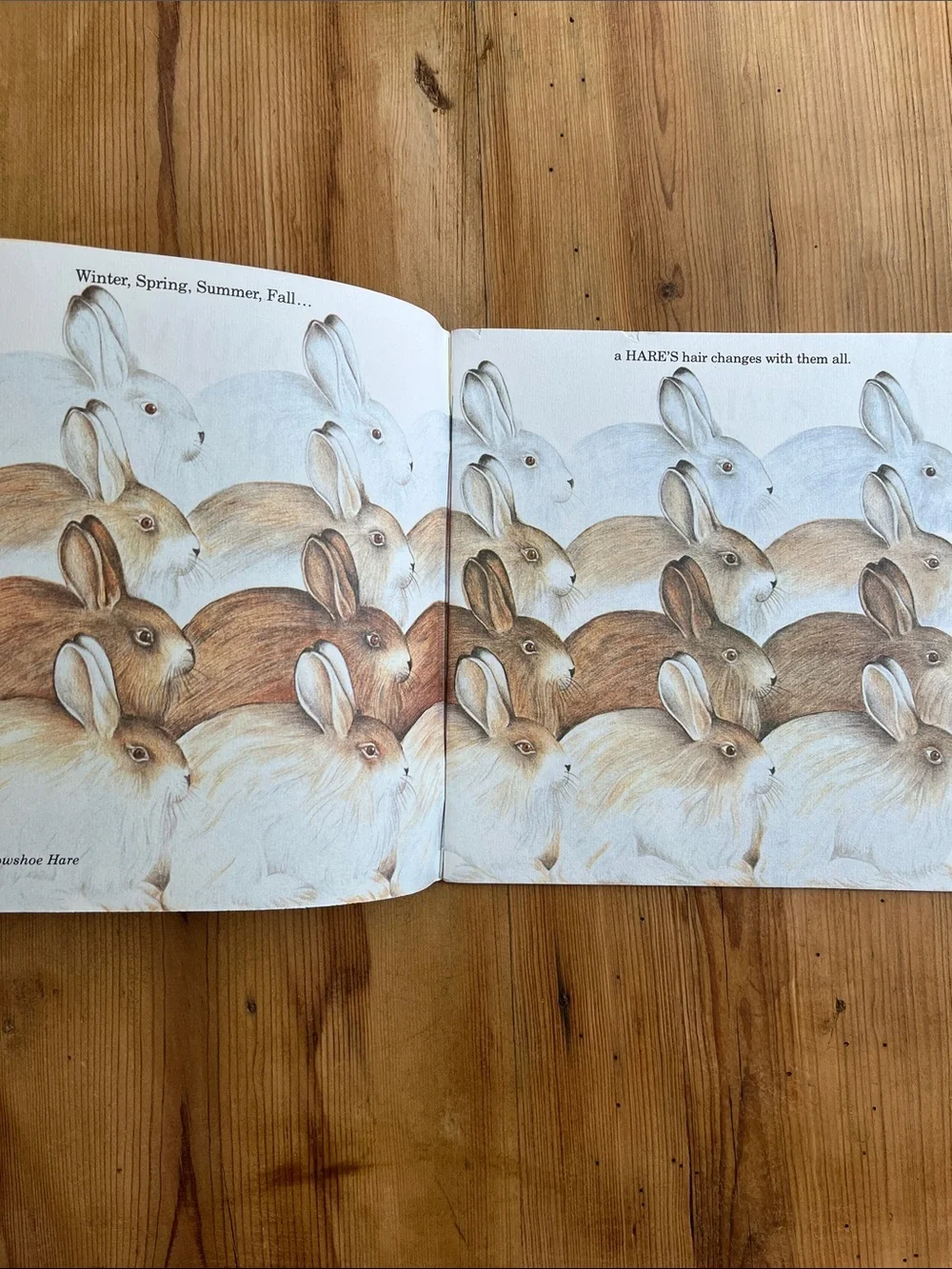 Ruth Heller SC Book 